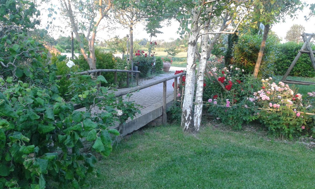 Fattoria Belvedere Bellaria-Igea Marina Extérieur photo