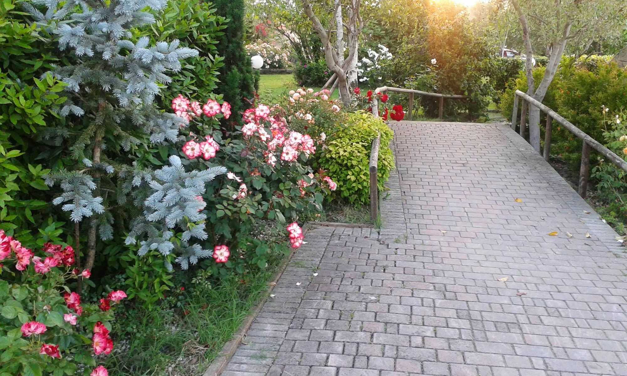 Fattoria Belvedere Bellaria-Igea Marina Extérieur photo