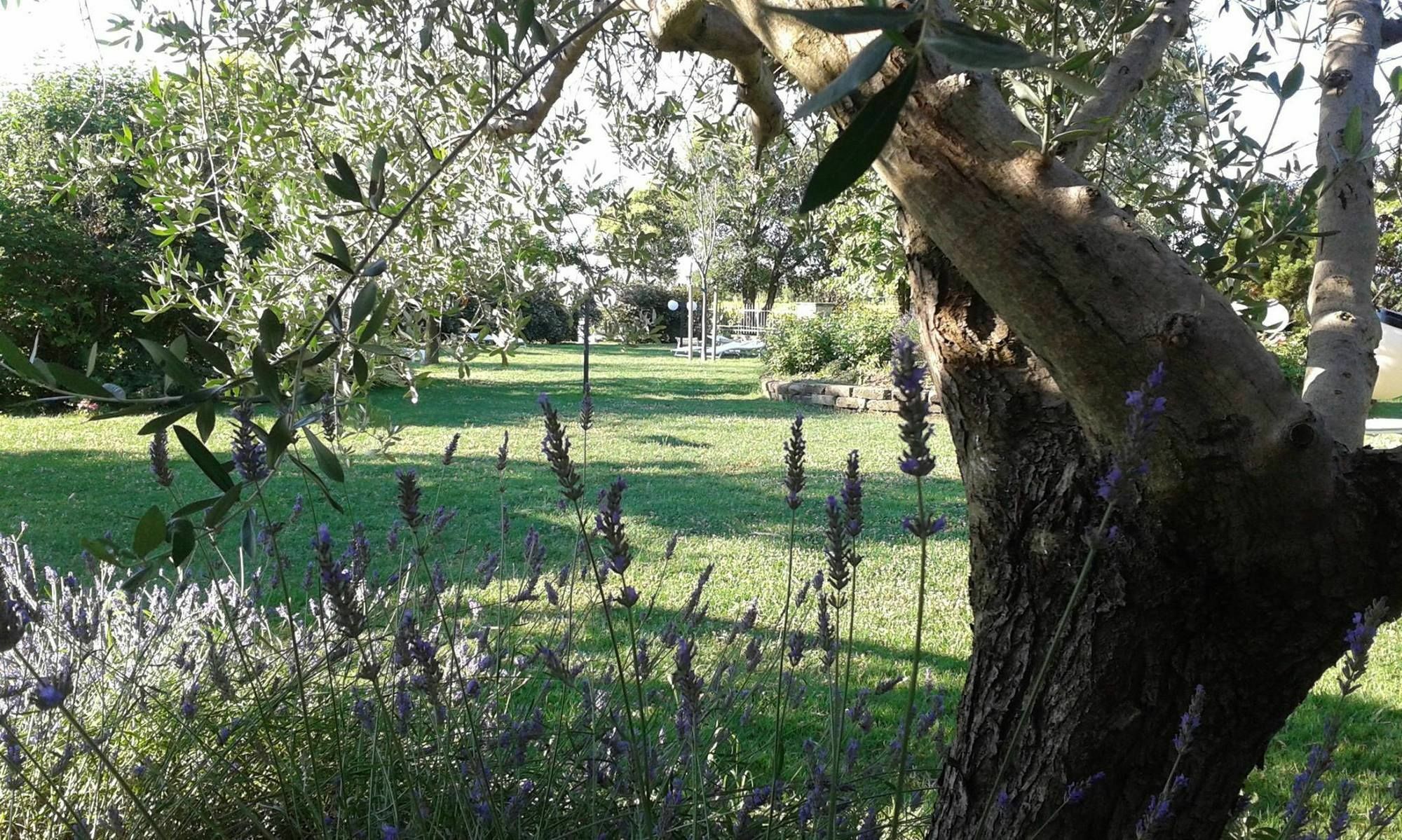 Fattoria Belvedere Bellaria-Igea Marina Extérieur photo