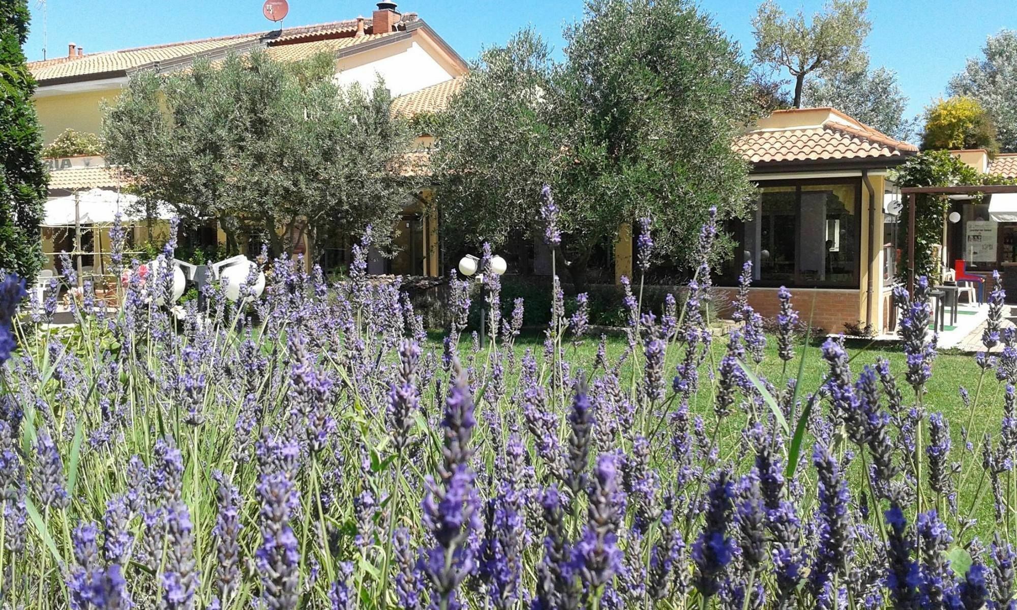 Fattoria Belvedere Bellaria-Igea Marina Extérieur photo